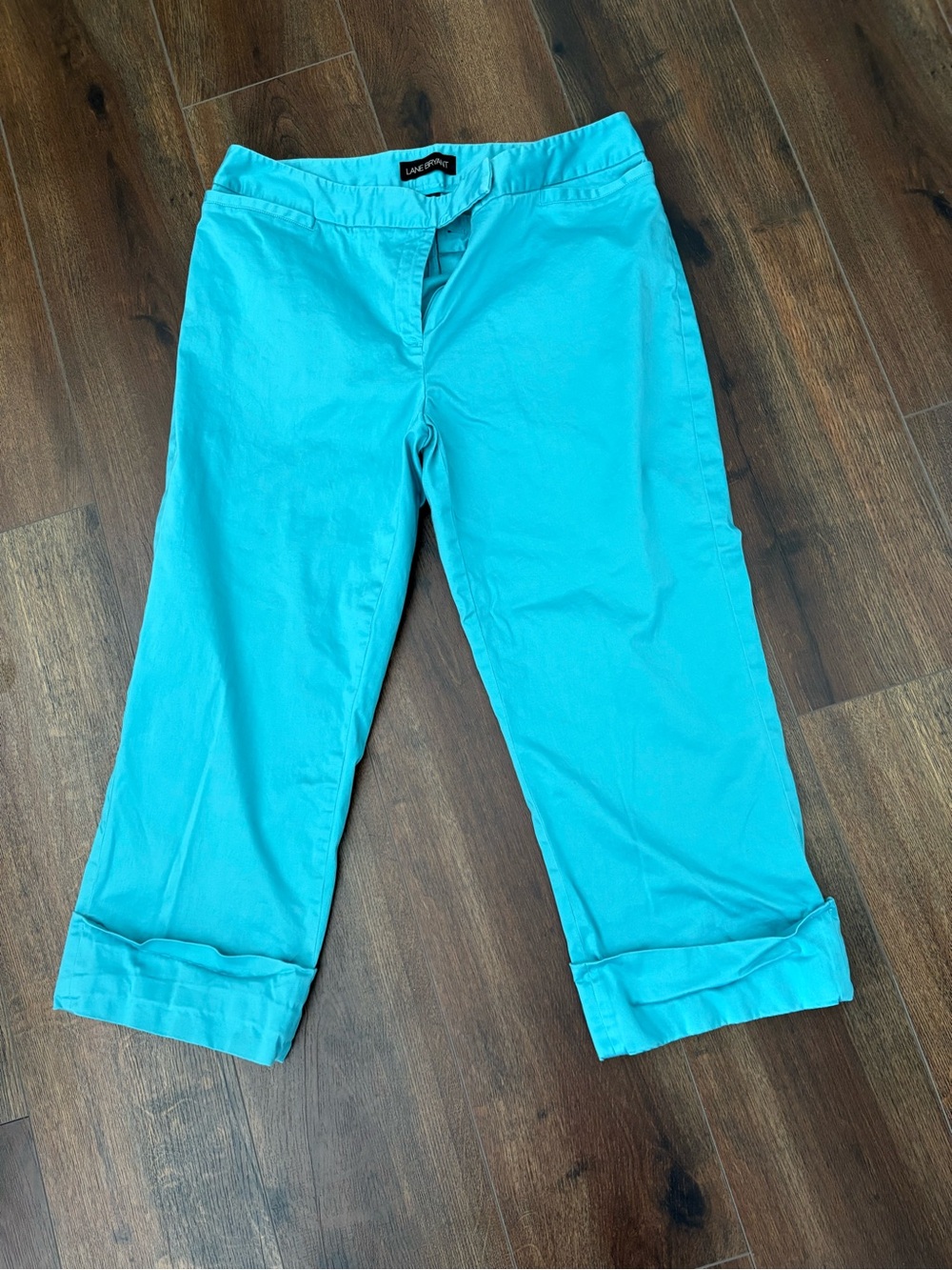 Lane Bryant Women’s Turquoise Cropped Pants